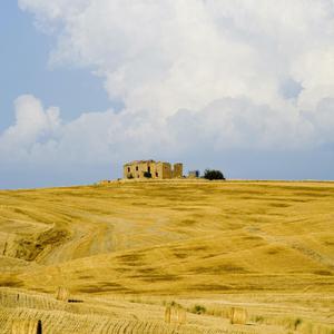 乱···伦···H小说
