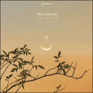 乱···伦···H小说
